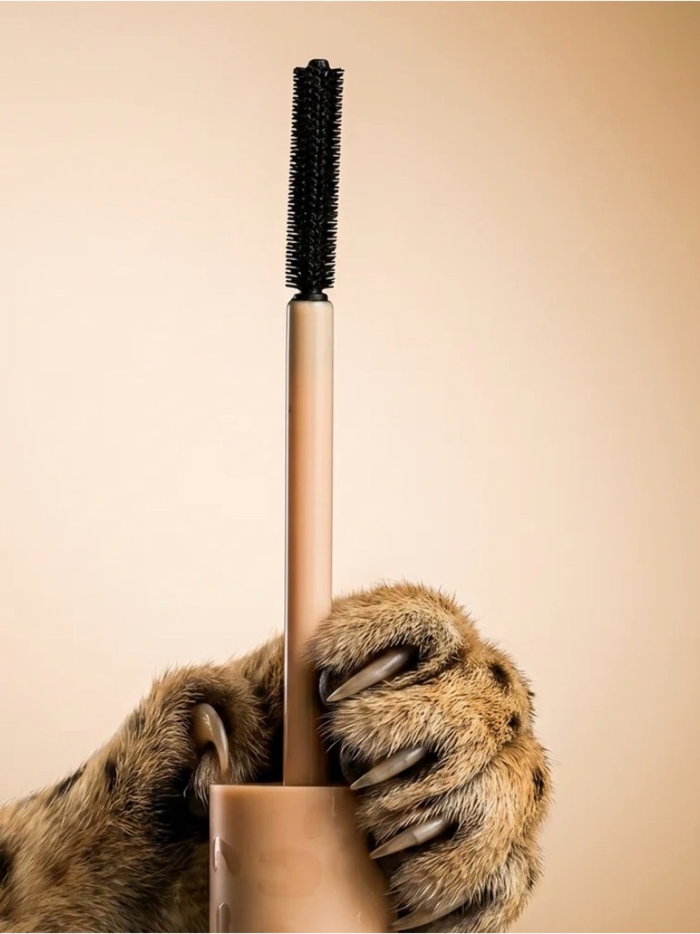 Plouise The Hot Spot Cheetah July
Budget Box Set - Brown/Gold. New. Sealed. - Picture 3 of 10
